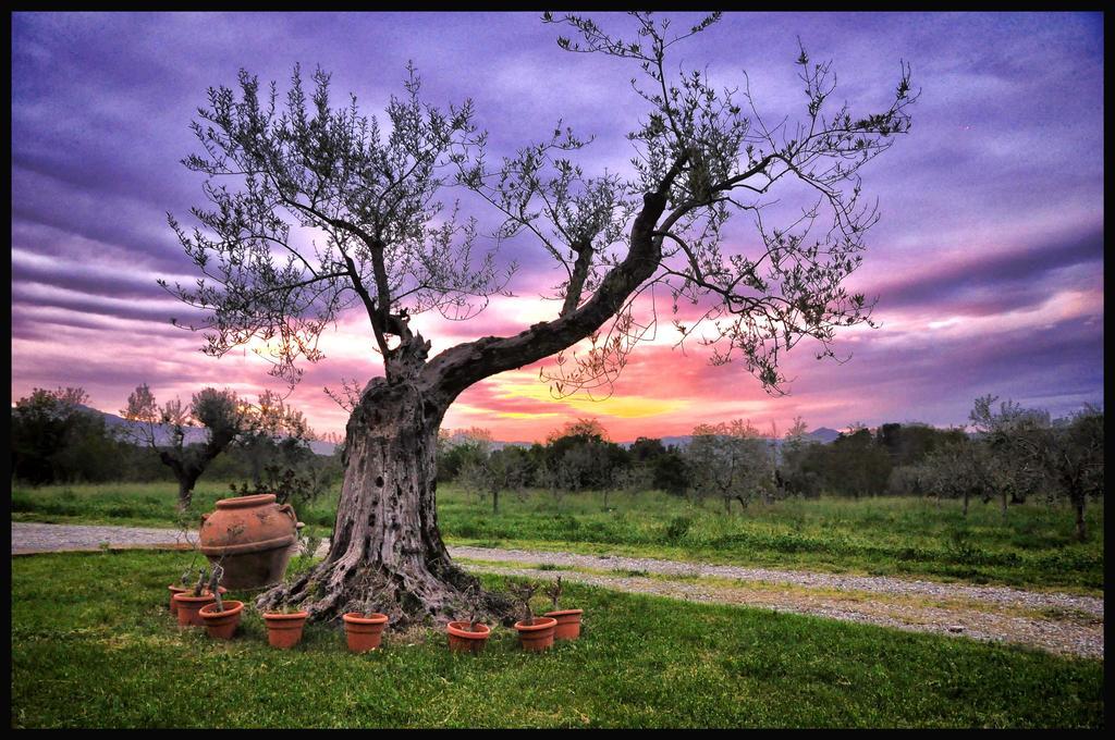 אקואפנדנטה B&B Predio San Fernando מראה חיצוני תמונה